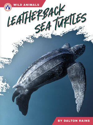 cover image of Leatherback Sea Turtles